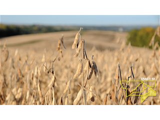 Property photo 43 - 1,153 +/- Acres offered in 15 TractsLAND AUCTION